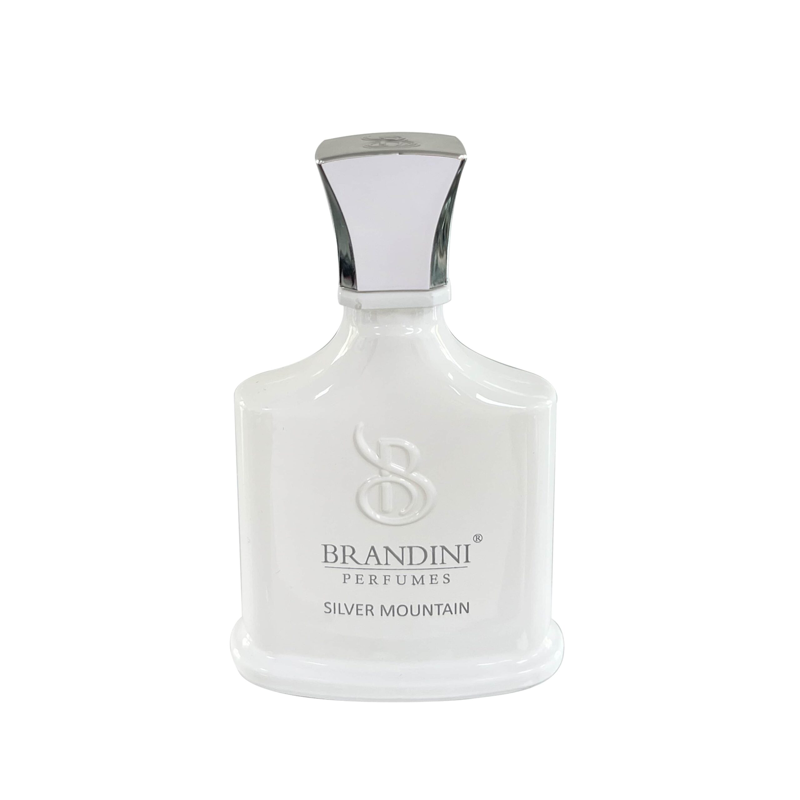 عطر ادکلن سیلور مونتین زنانه و مردانه Silver mountain